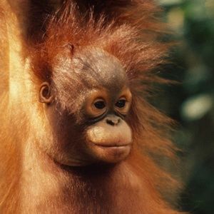 Meet your Posher, Craig